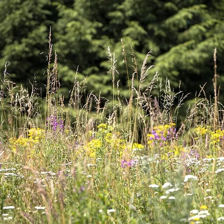 2 Bedroom Pet Friendly In 펜션 *